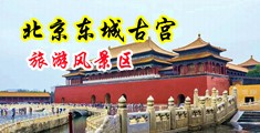 美女骚逼图片中国北京-东城古宫旅游风景区